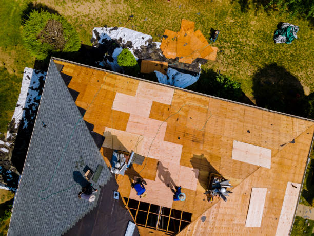 Best Roof Inspection Near Me  in Springville, VA