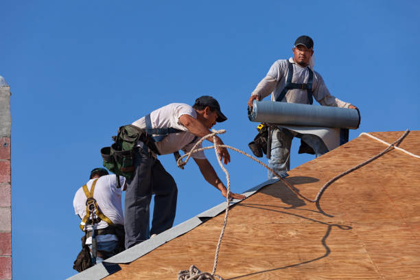 Best Sealant for Roof  in Springville, VA