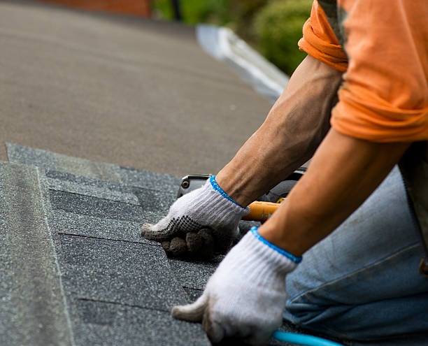 Best Affordable Roof Replacement  in Springville, VA
